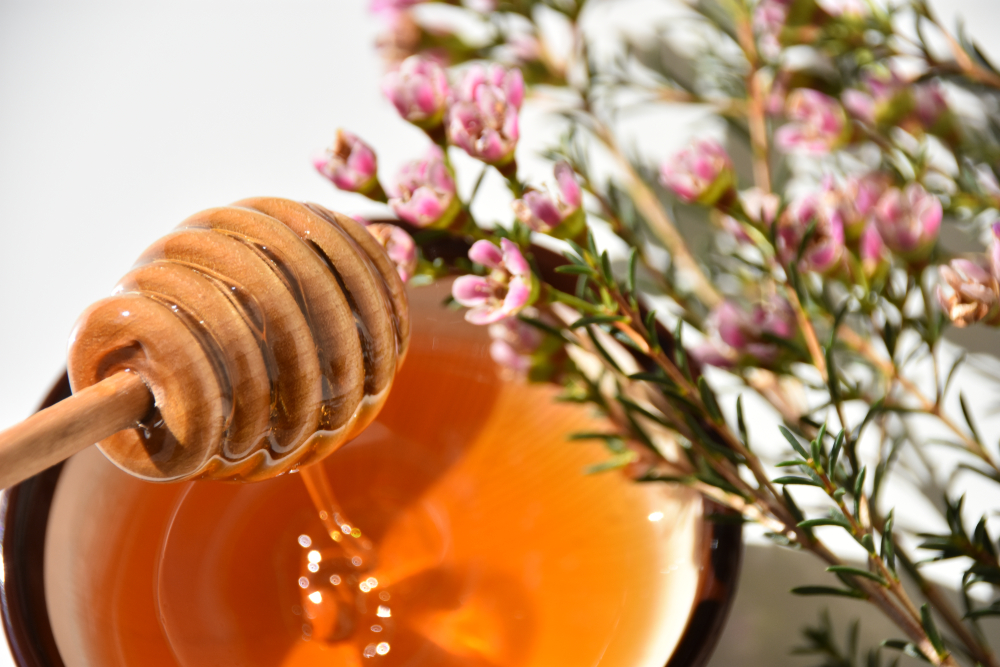أنواع العسل الأصلية وذات الجودة العالية لتقوية المناعة