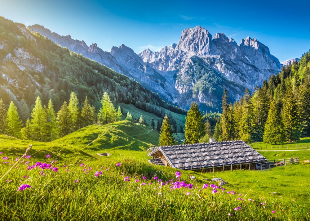 الطبيعة الساحرة في سويسرا