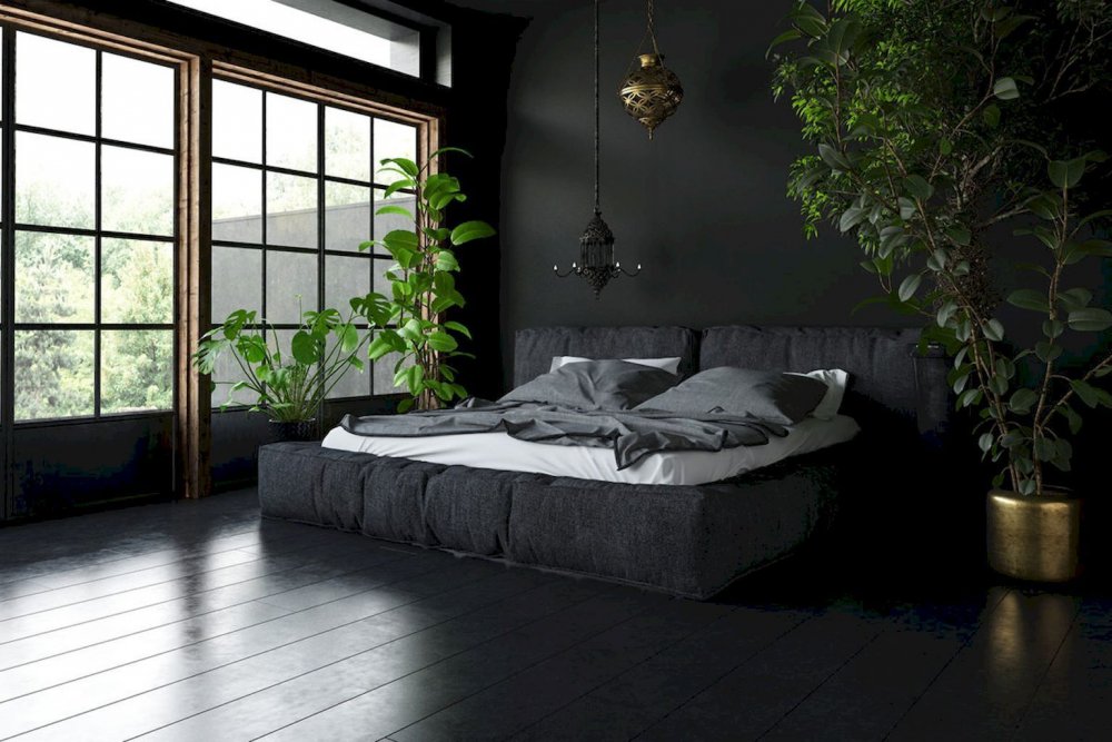 النباتات الطبيعية تكسر من حدة اللون الأسود في ديكورات غرف النوم