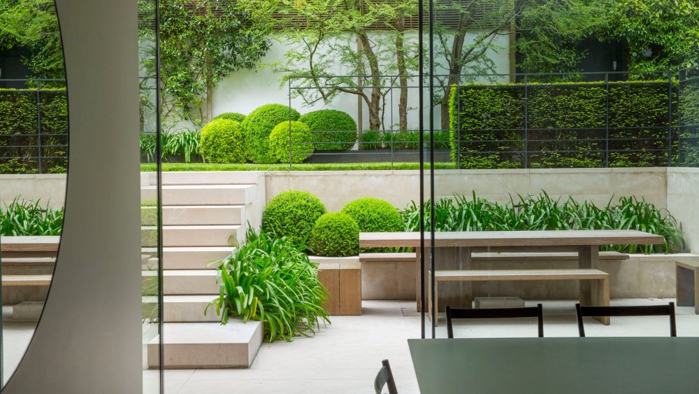 تقليم النباتات الخضراء تضيف الجمالية على تصاميم الحدائق المنزلية