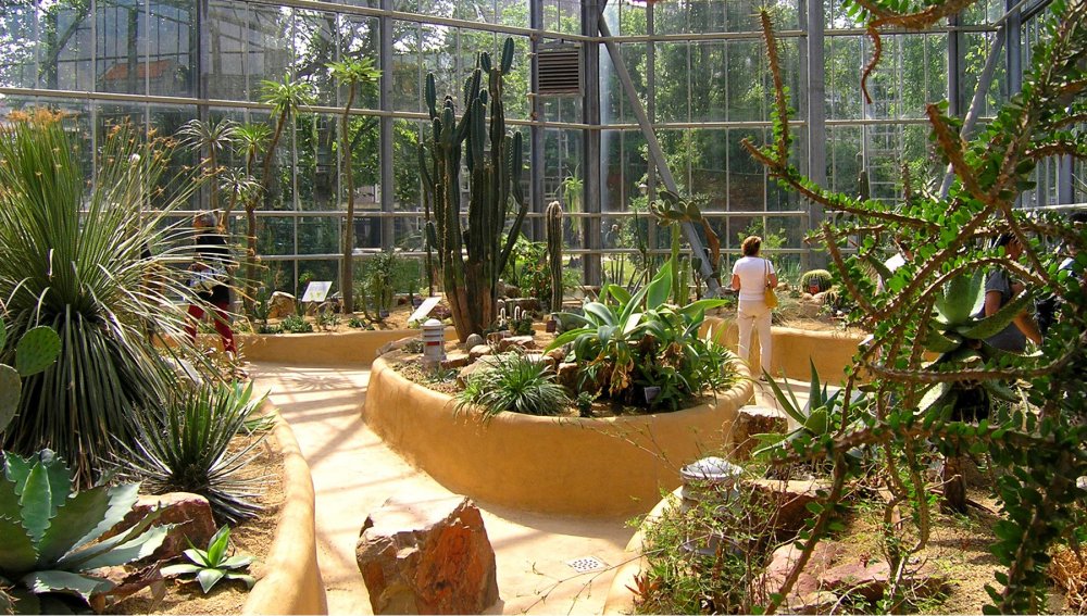 حديقة دو هورتوس بوتانيكوس النباتية De Hortus Botanicus 