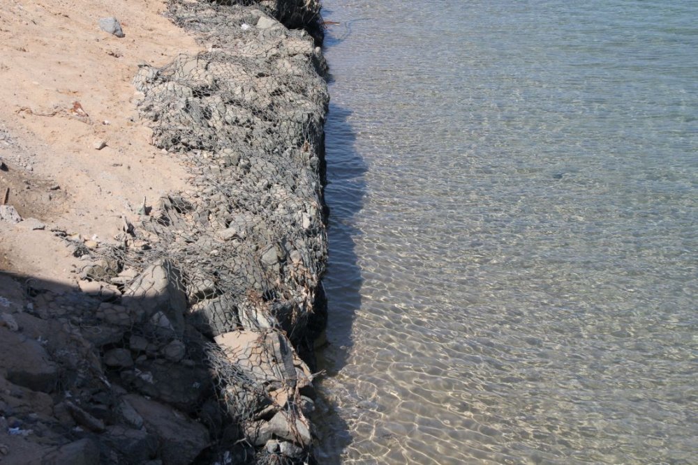 مياه صافية وطبيعة نقية في جزيرة دلما الإماراتية - المصدر بوابة جزيرة دلما 