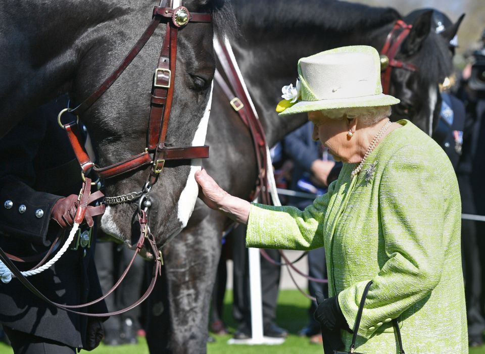 ملكة بريطانيا تزور مزرعة خيول 