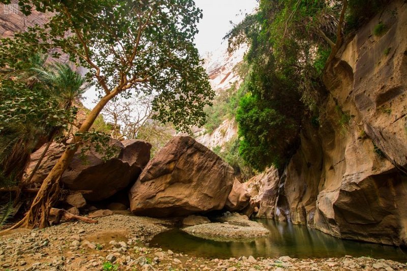 أجواء الطبيعة البكر في وادي لجب - المصدر واس