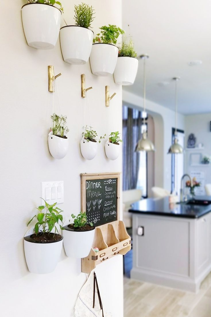 أحواض نباتات لديكور جدار صغير في مطبخك