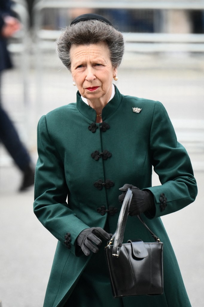 الأميرة آن أول فرد بارز في العائلة المالكة البريطانية يُتهم بجريمة جنائية