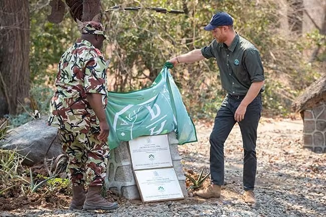 مشروع طموح لحماية الحياة البرية في ملاوي