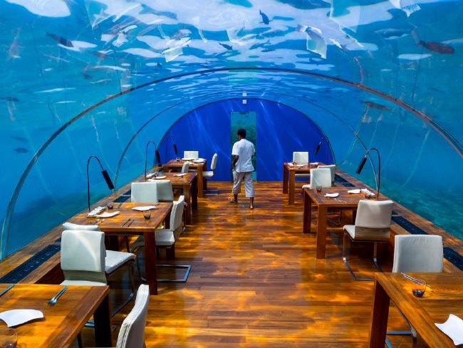 Ithaa Undersea Restaurant - Rangali Island, Maldives
